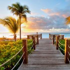 Picture for song 'Tropical Love (SOLD)' by artist 'BeatsbySV'