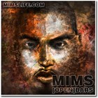 Picture for song 'MIMS - My Winter is My Summer (prod by BigBully)' by artist 'Big Bully Organization'