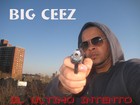 Picture for song 'Big Ceez-Guerra.mp3 908603' by artist 'Big Ceez La Plaga'