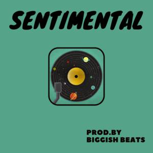 Picture for song 'Sentimental ( RnB / Hip Hop / Latin ) - 84 bpm' by artist 'Biggish Beats'