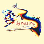 Picture for song 'Fountainhead' by artist 'Big Nuts Inc.'