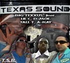 Picture for song 'zoom freestyle' by artist 'big texxus'