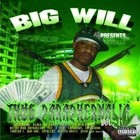 Picture for song 'Big Will- Big Will' by artist 'BIG WILL'