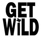 Picture for song 'Get Wild' by artist 'Big Z aka Genius'