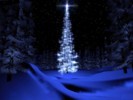Picture for song 'They Call Him Jesus' by artist 'Bill Mantooth'
