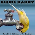 Picture for song 'Prince Is Back In Gotham City' by artist 'Birdie Daddy'