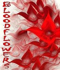 Picture for song 'You'll be safe here' by artist 'Bloodflowers'