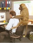 Picture for song 'Monkey On My Back' by artist 'Bob Kotz'