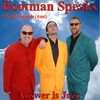 Picture for song 'Blew's Blues' by artist 'Bootman'
