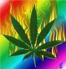 Picture for song 'Smoke Weed Everyday' by artist 'Botinok'