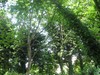 Picture for song 'LAS PALMAS Park' by artist 'Brendan Jewell'