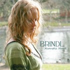 Picture for song 'Light Of Love' by artist 'Brindl'