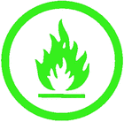 Picture for song 'No Remorse' by artist 'Burning Ash Project'