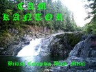 Picture for song 'From Deamons to Broken Hearts (NEW!!!)' by artist 'Cam Kantor'