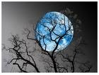 Picture for song 'The Blues in me' by artist 'Carlos Carranza'