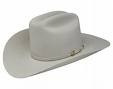 Picture for song 'White stetson and sassy smile' by artist 'Carol Douglas'