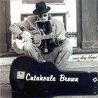 Picture for song 'Train Bridge Blues' by artist 'Catahoula brown'