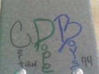 Picture for song 'BANKROLL' by artist 'CDB'