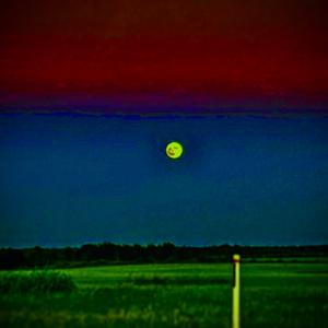 Picture for song 'lost and desperate' by artist 'Chamo Mile'