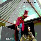 Picture for song 'For No Good Reason' by artist 'Charlie Kay'