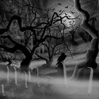 Picture for song 'Rain When I Die' by artist 'CHUCK DIESEL'