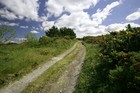 Picture for song 'cross-country' by artist 'Chukura'