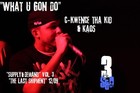 Picture for song 'What U Gon Do Ft. Kaos (Prod. By FreQ Beatz)' by artist 'C-Kwence Tha Kid'