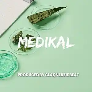 Picture for song 'Medikal - Afrobeat Instrumental' by artist 'ClaqnexzieBeat'