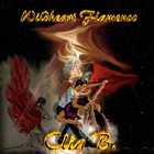 Picture for song 'Wildheart Flamenco' by artist 'Claudia Breuker'