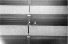 Picture for song 'Let Go (the ape)' by artist 'Coffee In Zurich'