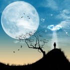 Picture for song 'Trayendo Luz a la oscuridad' by artist 'Concierto de Luz'