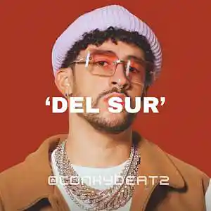 Picture for song 'DEL SUR l 20$ UNLIMITED TRACKOUT l BAD BUNNY TYPE' by artist 'ConkyBeatz'
