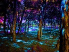 Picture for song 'Night Falls(Stoner/Wiz Khalifa/DizzyWright)' by artist 'Cosa Beats'