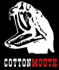 Picture for song 'Memphis , Tennessee' by artist 'CottonMouth'