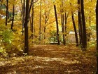 Picture for song 'The Way He Planned' by artist 'Country Three Originals'