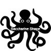 Picture for song 'Saccharine Shape' by artist 'Crash Test Octopus'