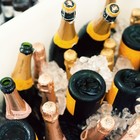 Picture for song 'BO$$ED UP MASTER- cuddyonthebeat' by artist 'cuddyonthebeat'