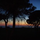 Picture for song 'Freedom - (Cup Of Dreams & Adrian Place)' by artist 'Cup Of Dreams'