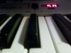 Song picture