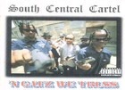 Picture for song 'Serve Em' Heat' by artist 'CvillePlayaz847'