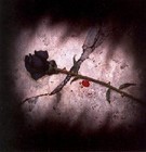 Picture for song 'Da Deliverer - Hollow Everywhere' by artist 'dadeliverer'
