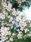 Picture for song 'Kyoto Rain_0708_02' by artist 'Daktari'