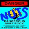 Picture for song 'Shore Break' by artist 'Danger Nuts'