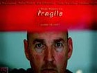 Picture for song 'Fragile - Main Theme' by artist 'David Beard Music Production'