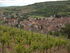 Picture for song 'Cinq Souvenirs Pour Chordes - II. Sur les Collines' by artist 'David Campbell'
