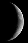 Picture for song 'When The Moon Cried' by artist 'David Little Elk'