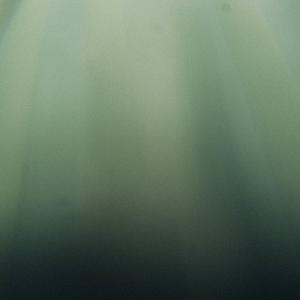 Picture for song 'CLOUT' by artist 'doctor-drip'