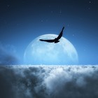 Picture for song 'Dream Away' by artist 'DC SpaceDog'