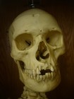 Picture for song 'Alive' by artist 'Dead Alive Son'