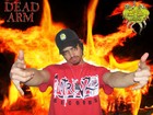 Picture for song 'Burn It Down feat. bRuTaL and Intrinzik' by artist 'Dead Arm'